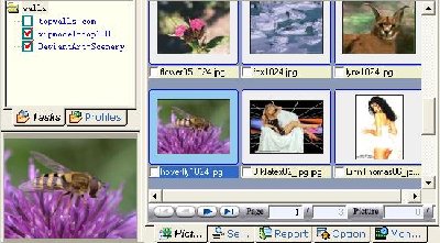 Screen shot