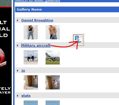 open ImageFap with IE, drag gallery/category and drop to PicaLoader's drop box.